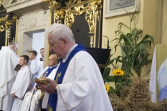 IMG_8882-Copy